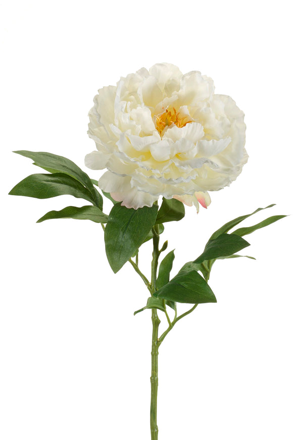 Artificial peony - 1 stem - Cream