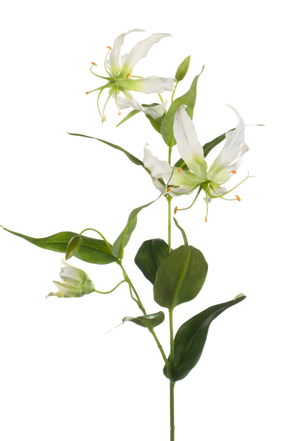 Artificial gloriosa - 1 stem - Cream