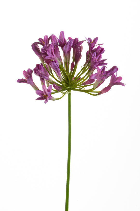 Artificial agapanthus - 1 stem - Lila