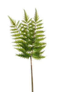 Artificial brilliant fern - 3 stems - Green