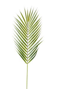 Artificial palm - 1 leaf - Green