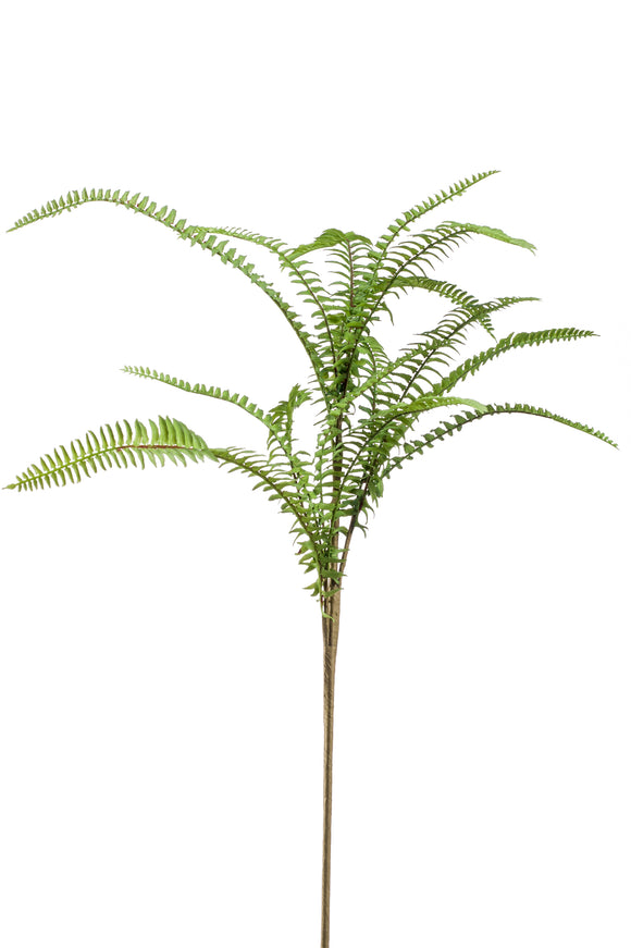 Artificial nephrolepis fern - 1 bush - Green