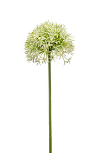 Artificial allium - 1 stem - Cream/green