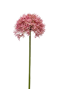 Artificial allium - 1 stem - Pink