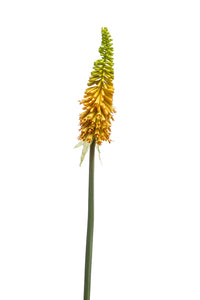 Kniphofia artificielle - 1 tige - Jaune