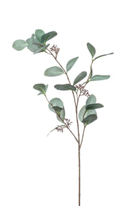 Artificial Populus eucalyptus with fruits - 1 branch - Green-grey