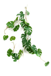 Artificial monstera - 1 garland - Green