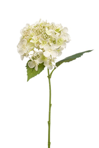 Artificial hydrangea - 1 head - White