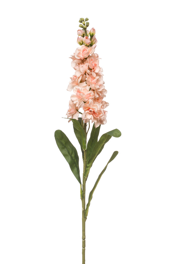 Artificial matthiola - 1 stem - Peach