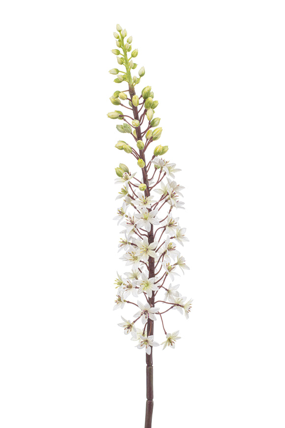 Artificial eremurus - 1 stem - White and green