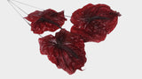 Preserved anthurium Earth matters - 3 pieces - Wine red 471