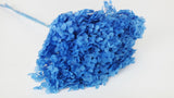 Preserved hydrangea Anna - 1 head - Blue grey