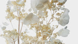 Hortensia paniculata séché Earth Matters - 1 botte - Off white 011