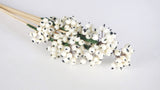 Berry cluster on stem - 1 bunch - White