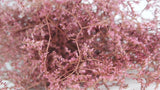 Limonium getrocknet - 1 Bund XL - Vintage rosa - Si-nature