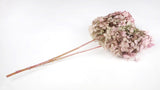 Preserved hydrangea Peegee Earth Matters - 1 head - Oregano pink 171