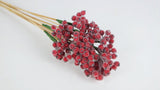 Berry cluster sugar on stem - 1 Bund - Rot - Si-nature