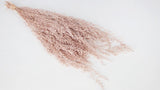 Stoebe konserviert Earth Matters - 1 Bund - Pink beige 081 - Si-nature