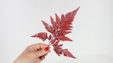 Davalia fern preserved - 6 stems - Red